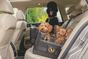 Dogs in Doggyfix dog seat with ISOFIX or LATCH in the car. Doggyfix for large and small dogs. Doggyfix dog seat made of imitation leather with ISOFIX straps.