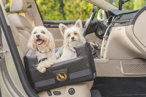 Two white small dogs in luxury Doggyfix dog seat with ISOFIX in the car on the passenger seat.